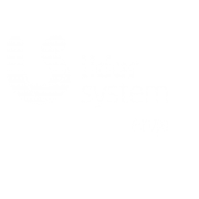 Grupo Lider System logo blanco